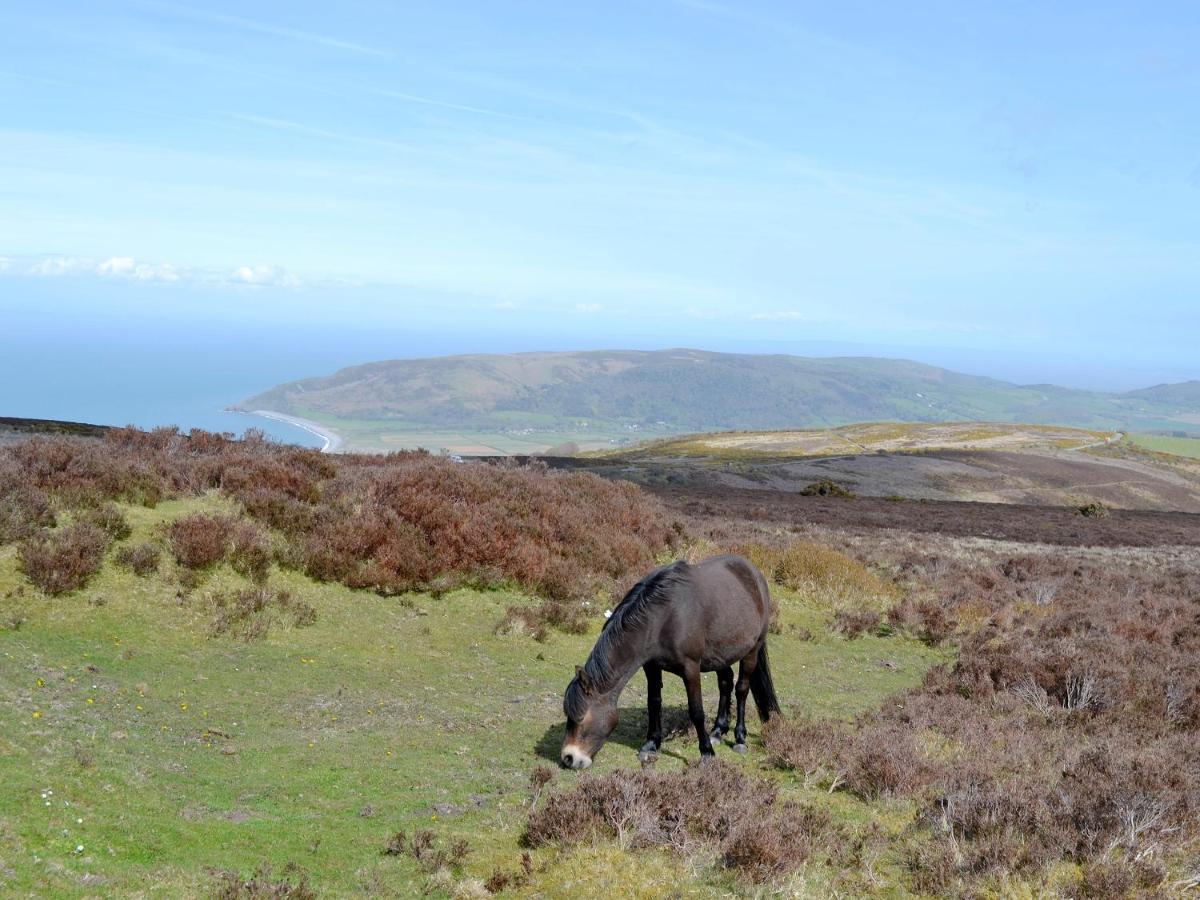 Beech Cottage Ilfracombe Bagian luar foto