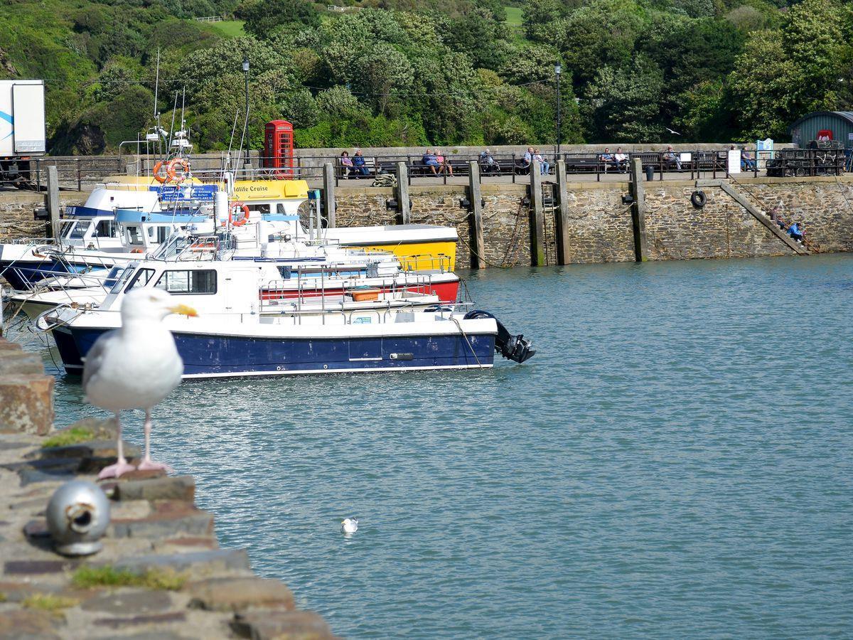 Beech Cottage Ilfracombe Bagian luar foto